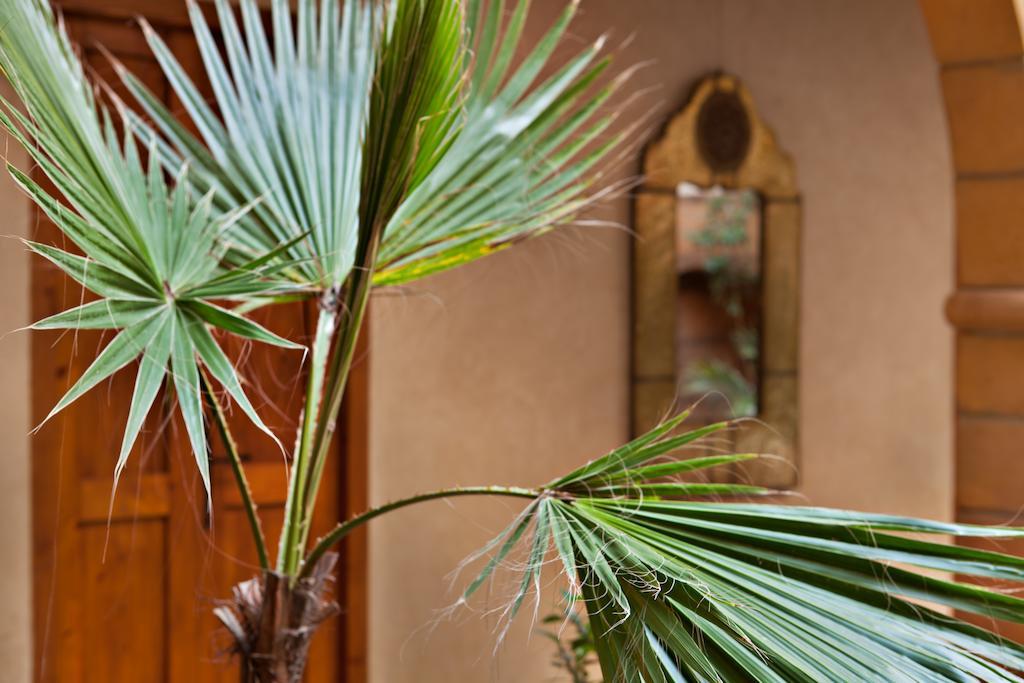 Riad Chbanate Essaouira Bagian luar foto